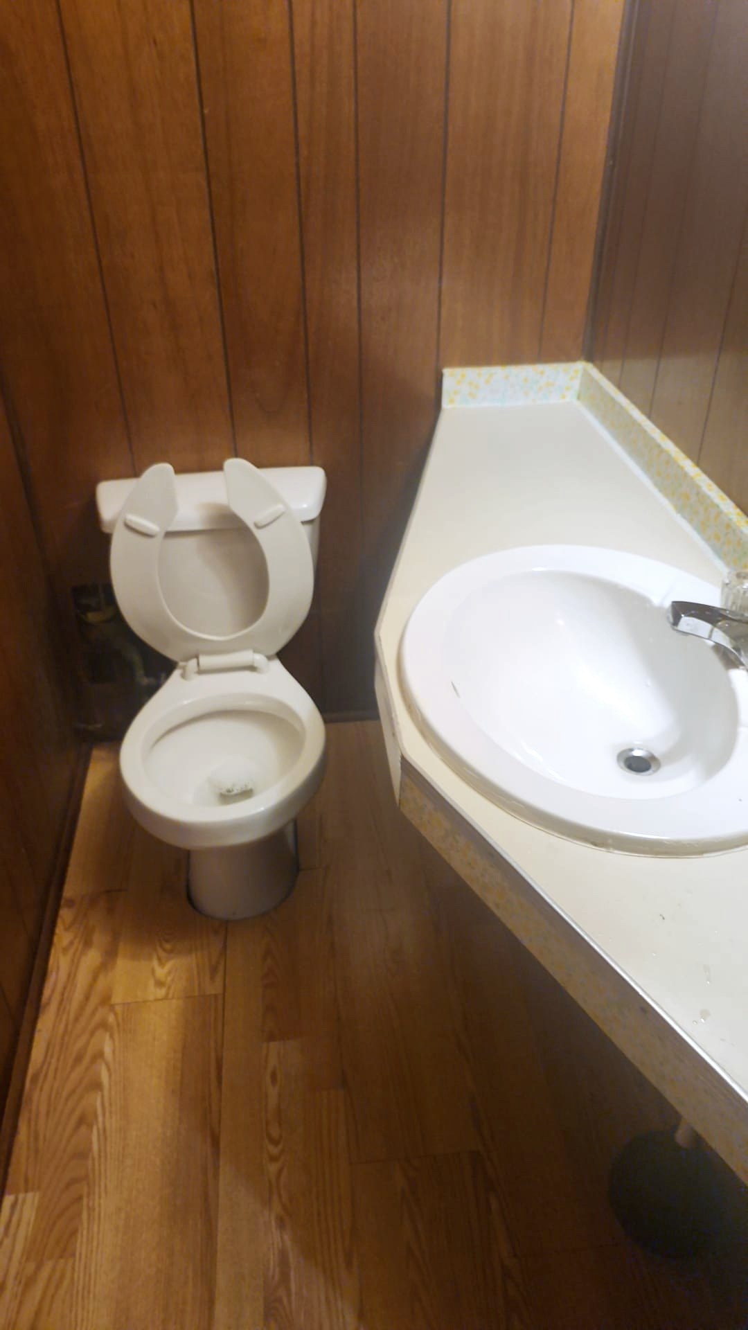 Basement bathroom before deep cleaning