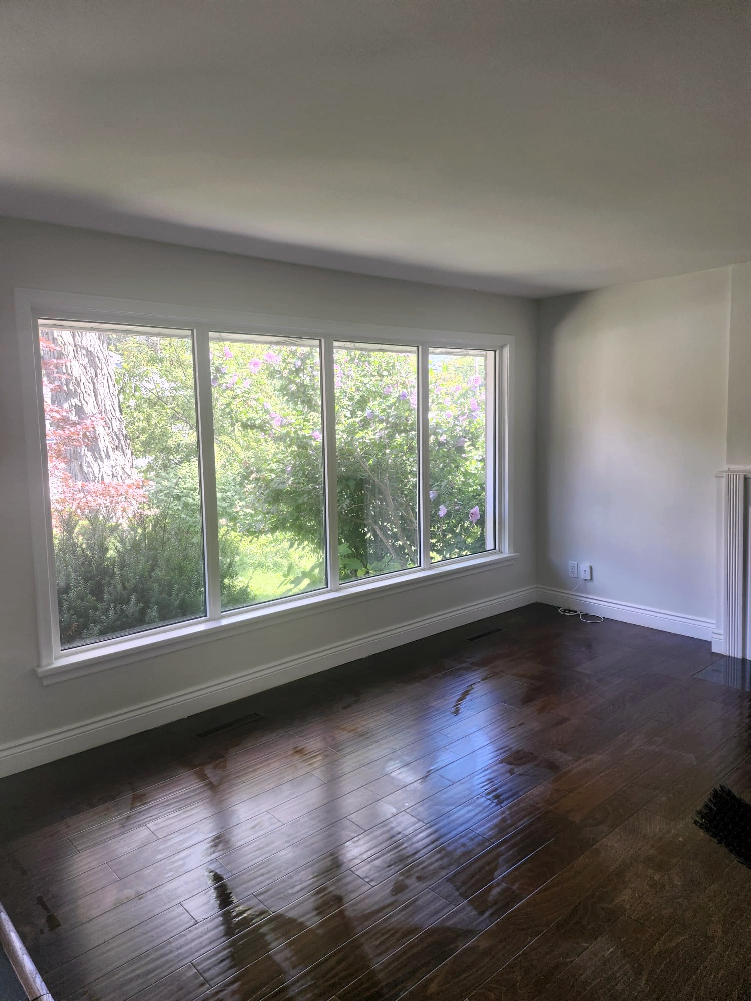 Shining hardwood floors and clean windows in a living room